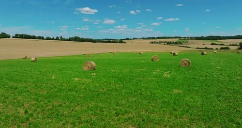 Straw Stacks Stacked Bales of Hay Left Over From Harvesting Crops Field of an Agricultural Farm with