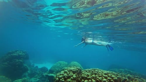 Girl Snorkelling Underwater