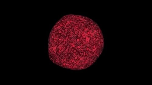 Abstract Red Hexagon Sphere Pulsing Animation Loop