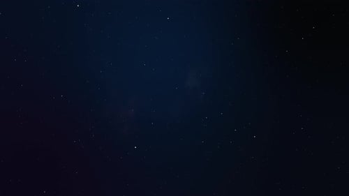Space Fly Loop