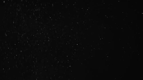 White Particles Falling Gently on Black Background
