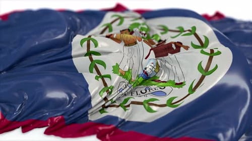 Belize-Flagge auf einer weißen Tafel