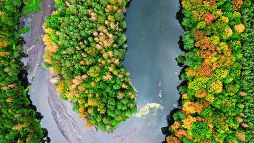 Aerial view of river in autumn. Aerial view of wildlife.