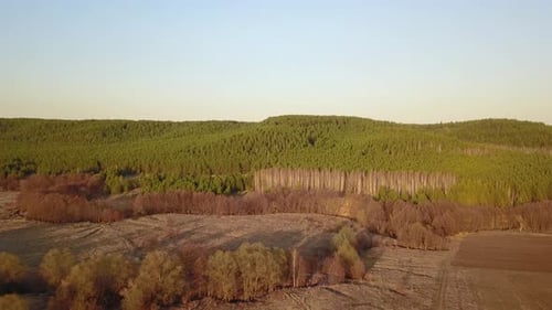 Early Spring Nature Forest River From Above