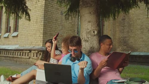 College Students Studying Outdoors Under Tree on Campus