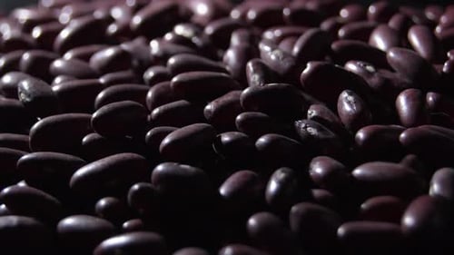Pile of Shiny Kidney Beans Close Up