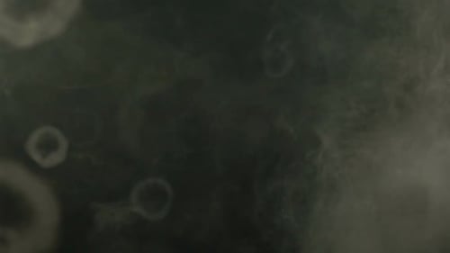 Smoke Ringe
