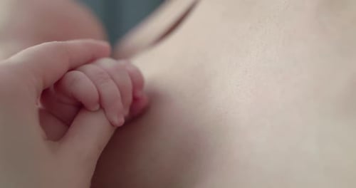 Infant Hand Grasping Adult Finger Close-Up