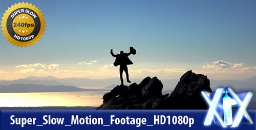 Triumphant Silhouette Holding Briefcase at Mountain Peak