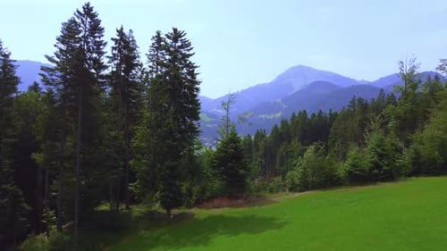Flight over green rural hillside and rises over the trees to a cliff
