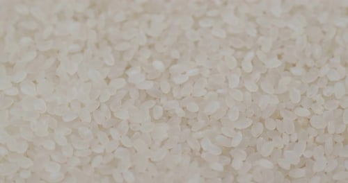 White rice close up