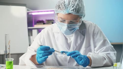 Scientist Analyzes Samples in Bright Laboratory Setting