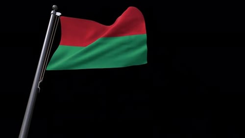 Red and Green Flag Waving Animation on Black Background