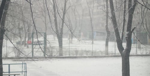 Snow City (3 in 1)