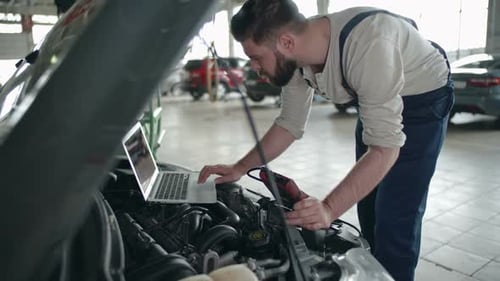 Mechanic Using Automotive Diagnostic Software