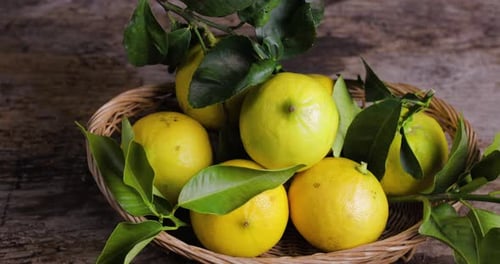 Bergamot fruit into a Basket