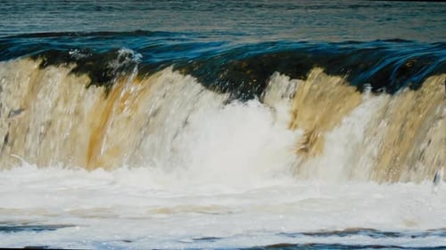 Poisson volant dans la cascade de Kuldiga sur les rapides de Venta