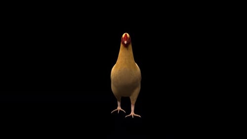 Chicken Walk Vista De Frente