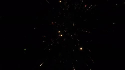 Fireworks Exploding in the Night Sky