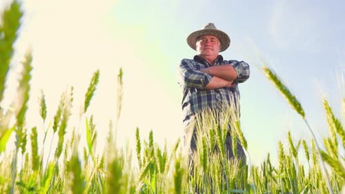 Confident Farmer Standing in Wheat Field