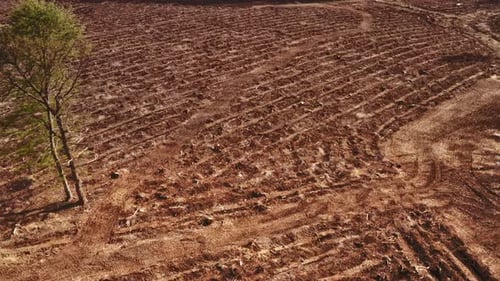 Land Clearing with Dry Grass