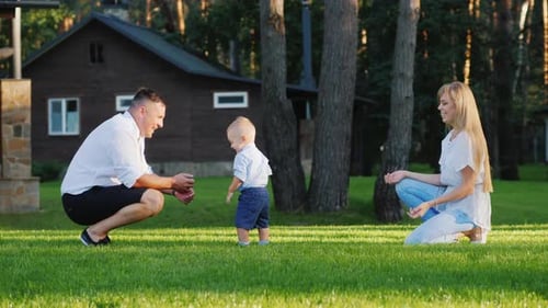 Family Fun on the Lawn with Toddler