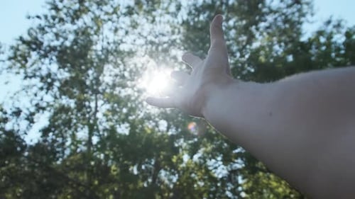Touch the Sun. Male Hand Plays Fingers with Sunbeams From Leaves of Green Trees