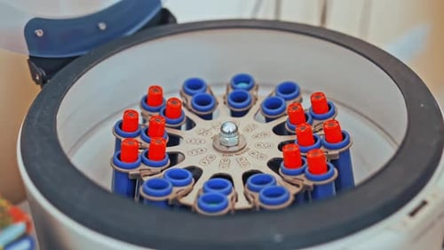 Test Tubes Being Placed Into a Centrifuge