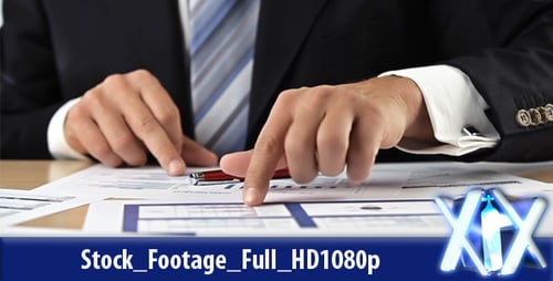 Business Professional Analyzes Data and Graphs at Desk