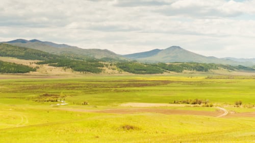 Steppe