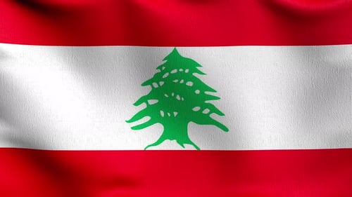 Flag with red, white, and green waving