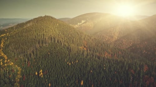 Colorful Mountain Forest Peak Sun Beam Aerial View