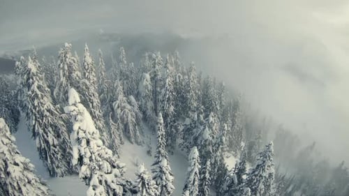 Moody Lowland Fog Clouds Aerial Above Snowy Mountain Forest Trees