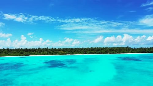 Aerial above abstract of idyllic lagoon beach wildlife by aqua blue sea and clean sandy background o