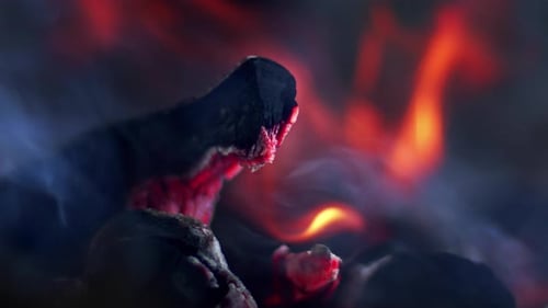 Burning Coals and Embers in Dark Close Up