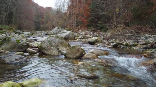 River water flow in mountain forest at autumn foliage aerial view