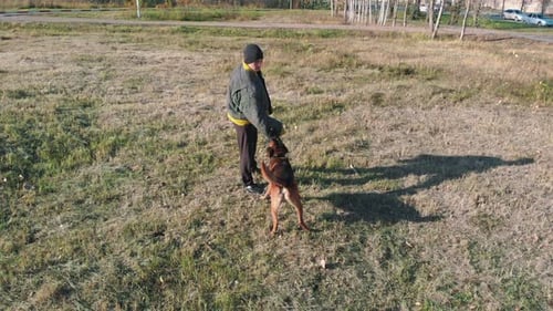 Dog Training Exercise with Protective Gear in Field