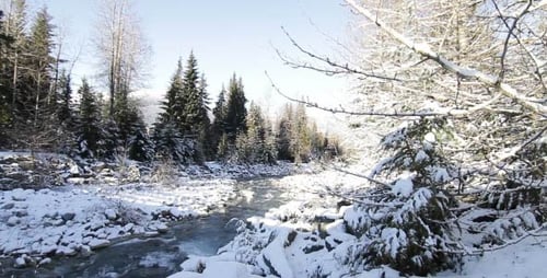 Snowy River Through a Winter Wonderland