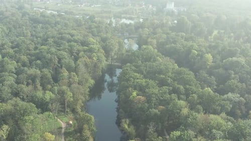 Schöner Flug über den Park im Sommer, Bäume mit grünen Blättern
