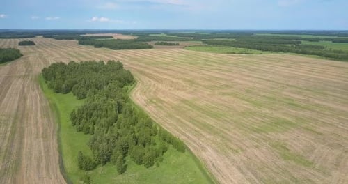 Paisagem aérea com bosques, campos e florestas colhidos