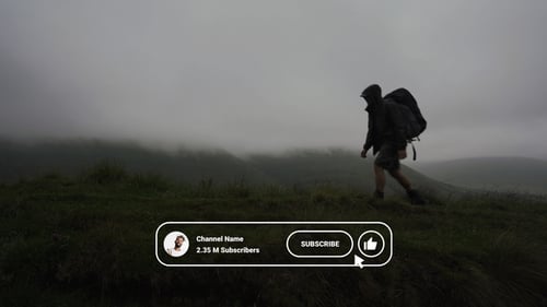 Minimalist Social Media Subscribe Button Animation