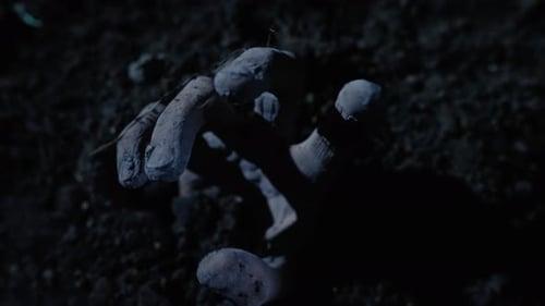 Zombie Hand Emerging from the Dirt at Night