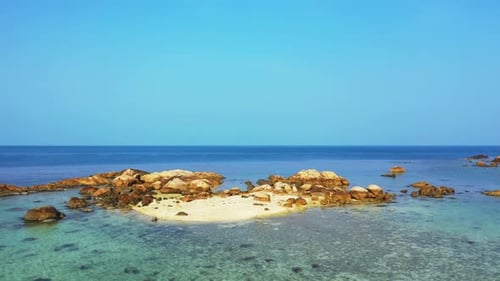 Aerial above abstract of exotic coastline beach wildlife by blue ocean and white sandy background of