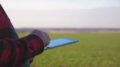 Senior Farmer Standing in a Green Field Using Modern Technologies in Agriculture at Sunset. Smart