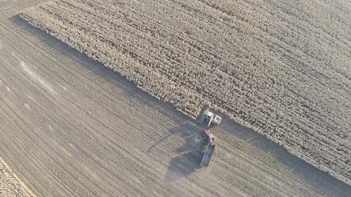 Farm machinery busy with crop harvesting, aerial view