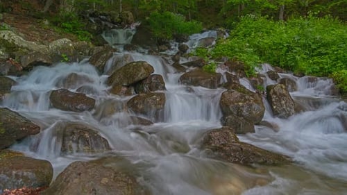 Clean Spring Water Flowing in the Highland of Kosovo