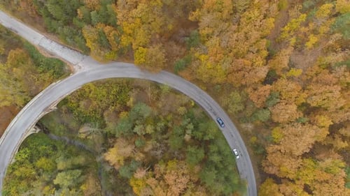 Drone Following Two Cars Speeding on Winding Forest Road in the Fall Season