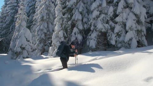 Male Hiker with Tourist Backpack Walking Through Dense Forest with Deep Snow on Cold Winter Day