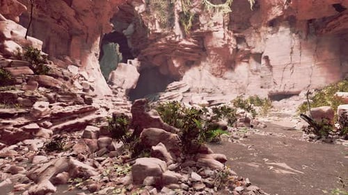 Blick von der Höhle zum Licht