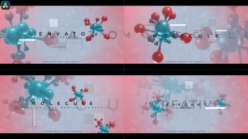 Introducción biológica